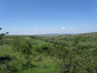 Новокленове з panoramio.com
