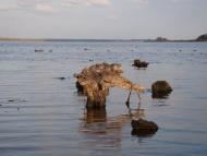 Кедина Гора з panoramio.com