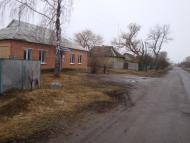 Базилівщина з panoramio.com