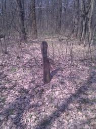 Черкаські Тишки з panoramio.com