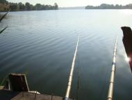 Тетіїв з panoramio.com