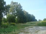 Шпиколоси з panoramio.com