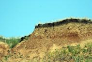 Банівка з panoramio.com