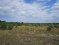 Паланки з panoramio.com