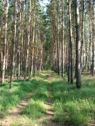 Віленька з panoramio.com