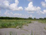 Остроушки з panoramio.com