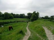 Федорівка з panoramio.com