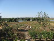 Китайгород з panoramio.com