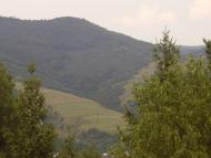 Бусовисько з panoramio.com
