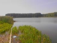 Роїще з panoramio.com