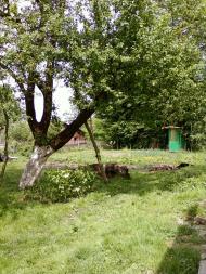 Великі Глібовичі з panoramio.com