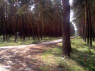 Мисайлівка з panoramio.com