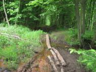 Рудня-Городищенська з panoramio.com