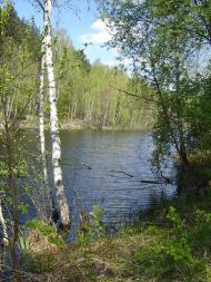 Гута-Ткачова з panoramio.com