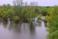Остер з panoramio.com - Остер