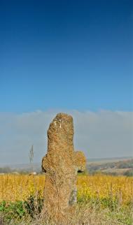 Карбівське з panoramio.com