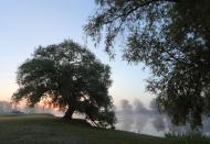 Курортне з panoramio.com