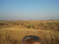 Ольшанське з panoramio.com