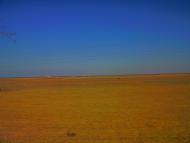 Табачне з panoramio.com