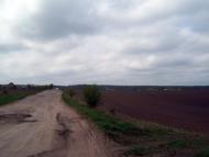 Вишняки з panoramio.com