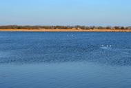 Дарівка з panoramio.com