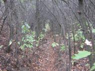 Фрунзе з panoramio.com - Фрунзе