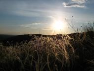 Біленьке з panoramio.com