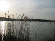 Радочини з panoramio.com