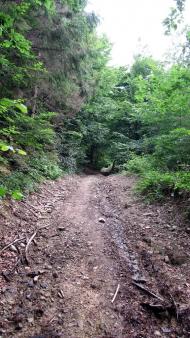 Букове з panoramio.com - Букове