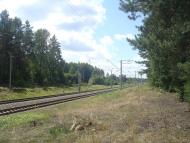 Купине з panoramio.com