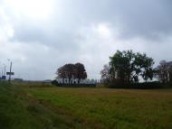 Мильці з panoramio.com