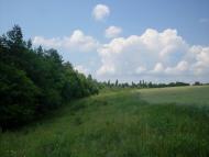 Бережне з panoramio.com