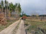 Новотроїцьке з panoramio.com