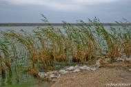 Чоботарівка з panoramio.com