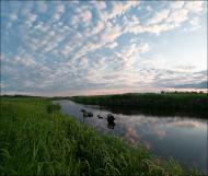 Староміщина з panoramio.com
