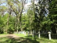 Ромашківка з panoramio.com