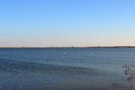 Дарівка з panoramio.com