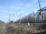 Радівці з panoramio.com