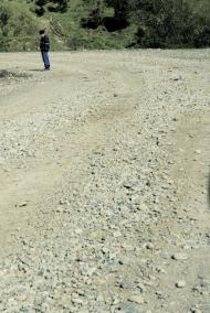 Кринтята - Останні фото