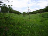 Антонівка - Останні фото