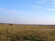 Мала Березівка з panoramio.com