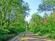 Пустельникове з panoramio.com