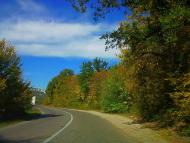 Нижня Голубинка з panoramio.com