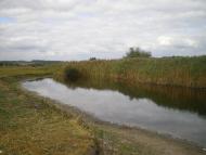 М'якеньківка з panoramio.com