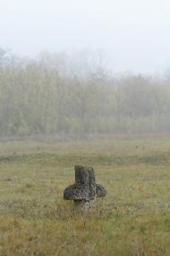 Добра з panoramio.com