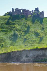 Чорнокозинці з panoramio.com