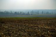 Новий Стародуб з panoramio.com