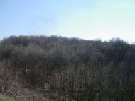 Подільське з panoramio.com