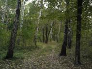 Сіряки з panoramio.com - Серяки