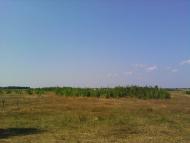 Пульмо з panoramio.com